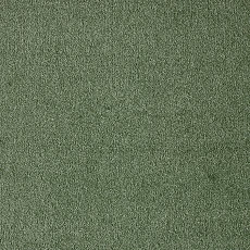 Ковролин AW Seduction 26 фото 1 | FLOORDEALER